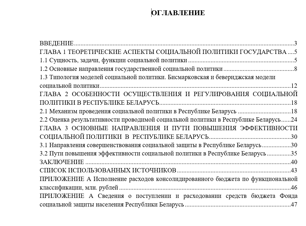 Направления социальной политики в Республике Беларусь